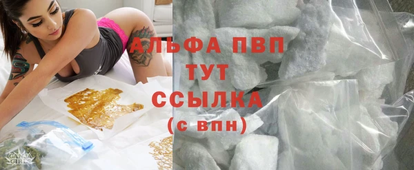 PSILOCYBIN Вяземский