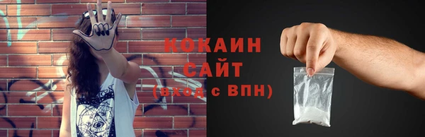 PSILOCYBIN Вяземский