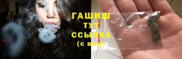 PSILOCYBIN Вяземский