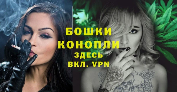 PSILOCYBIN Вяземский