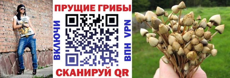 маркетплейс телеграм  Луховицы  Галлюциногенные грибы прущие грибы  где купить наркоту 